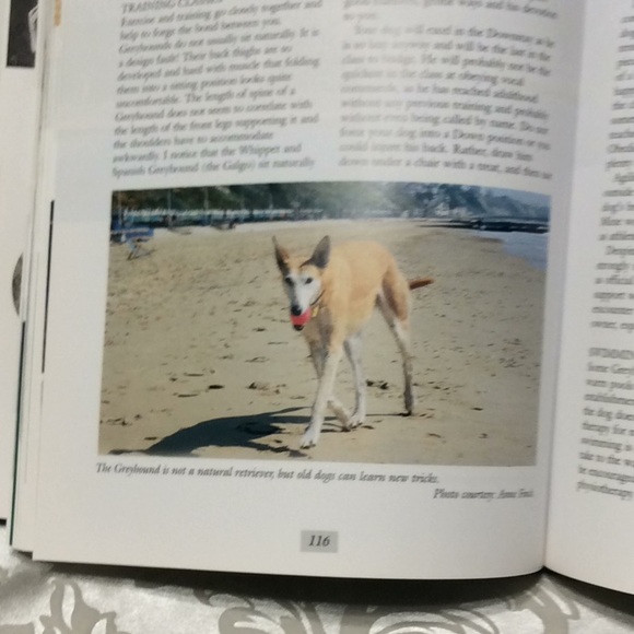 The Ultimate Greyhound Edited by Mark Sullivan. BUY 1 GET 1 FREE. - Picture 5 of 13